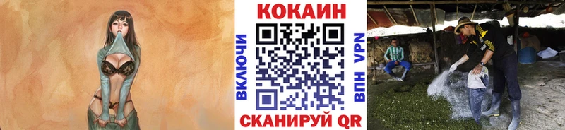 КОКАИН Боливия  сколько стоит  Усть-Катав 